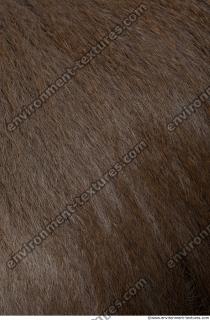 monkey skin fur  0009